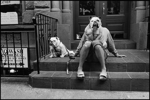 l'Humour du spécialiste des chiens, Elliott Erwitt. USA. New York City. 2000.